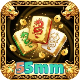 55mm